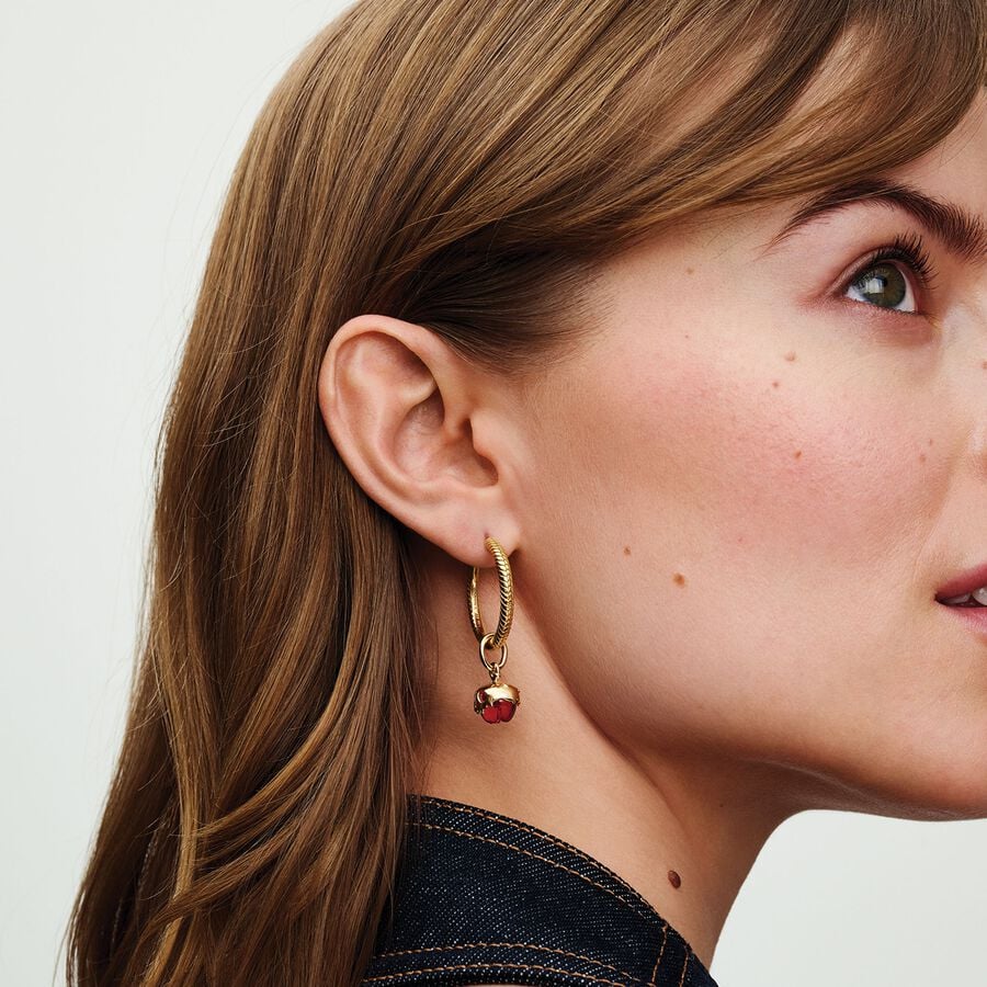 Argolas Pandora Moments