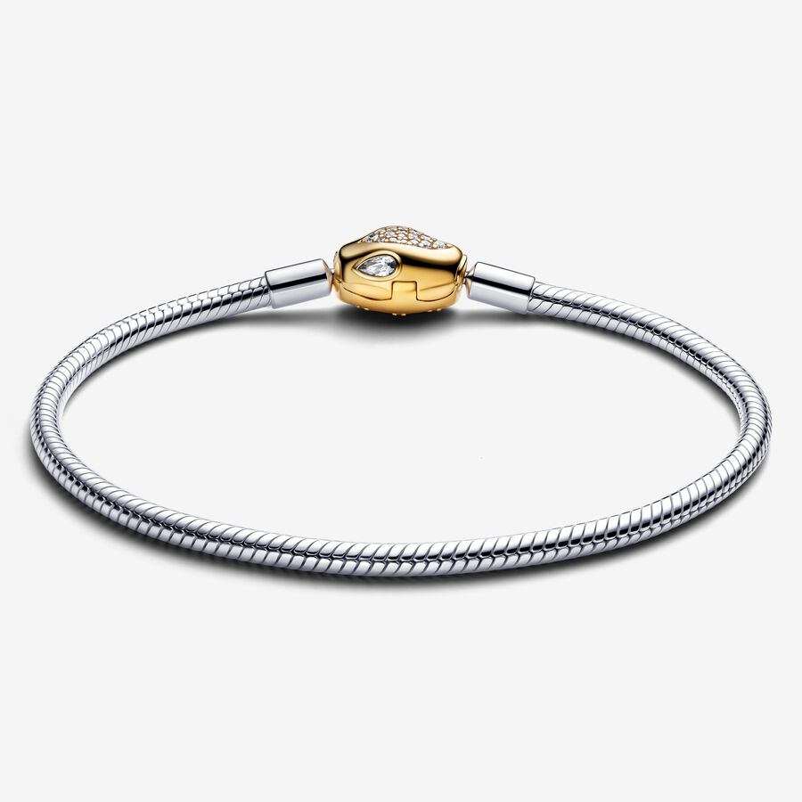 Pulseira de Corrente e Fecho Snake