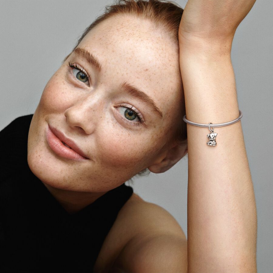 Conta Pendente Labrador