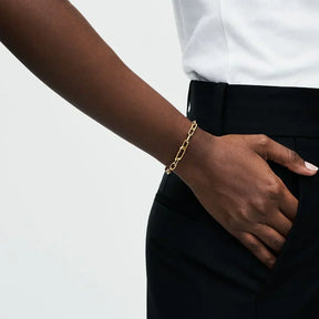 Pulseira de Elos Pandora ME